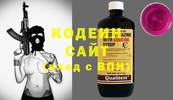 шишки Абаза