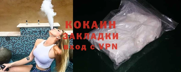 шишки Абаза