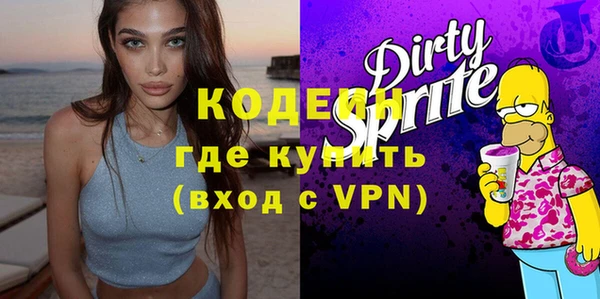 шишки Абаза