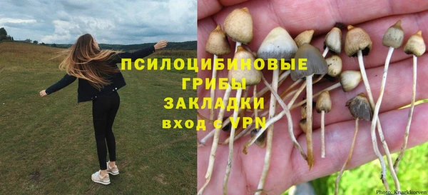apvp Абинск