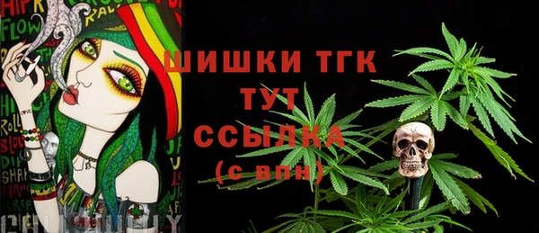 шишки Абаза