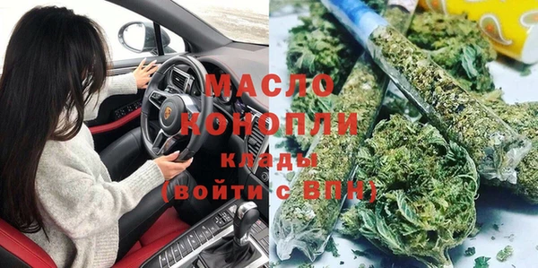 шишки Абаза