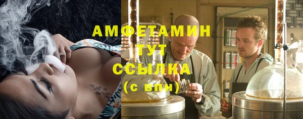 шишки Абаза