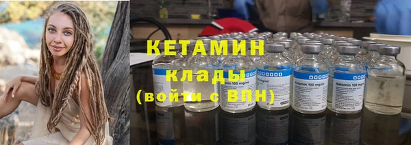 шишки Абаза