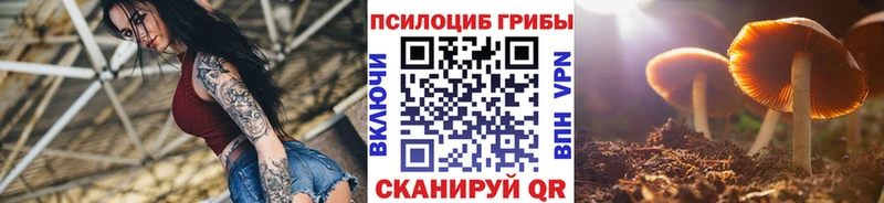 где купить   Мостовской  MEGA зеркало  Псилоцибиновые грибы GOLDEN TEACHER 